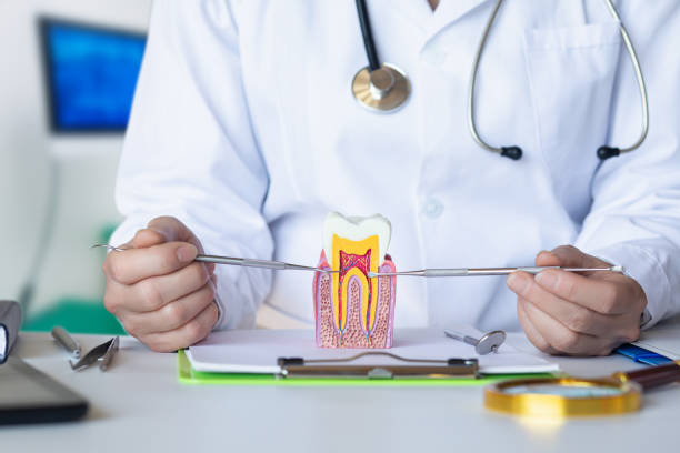 Best 24-Hour Emergency Dentist in Wenona, IL